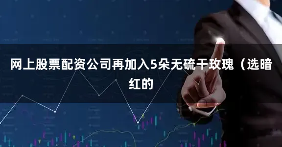 网上股票配资公司再加入5朵无硫干玫瑰（选暗红的