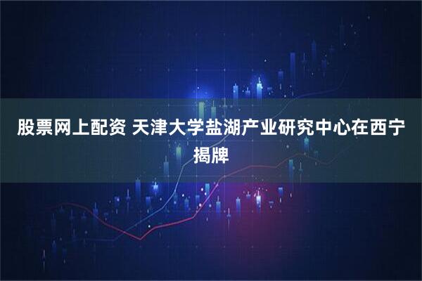 股票网上配资 天津大学盐湖产业研究中心在西宁揭牌